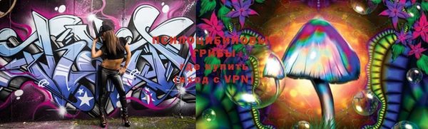 a pvp Бородино